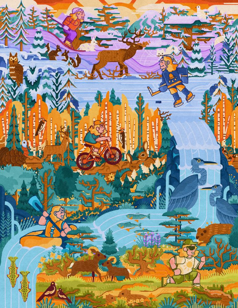 A detailed, illustrated piece showcasing five parts of the Colorado mountain landscape: the rugged mountain top, an alpine lake, an aspen forest, a lush riparian forest, and the sagebrush land kinda. each landscape contains a lil sam doing sports: skiing, hockey, mountain biking, white water rafting, and running! there are also a lot of animals spread throughout the piece. 