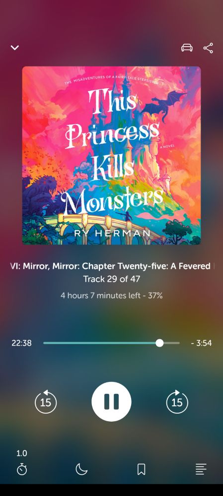 The cover of THIS PRINCESS KILLS MONSTERS by Ry Herman. 