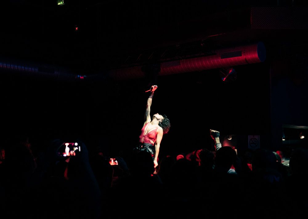 Live picture of the singer of the punk band The Baboon Show, Cecilia Boström, in the middle of the audience with her hand with the microphone in the air