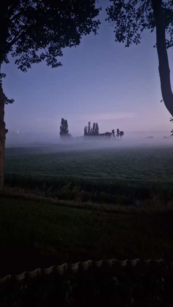 Der Nebel verschleiert den Horizont. Hinter dem Nebel steht ein Haus und Bäume. Durch den Nebelschleier und die Morgendämmerung wirkt die Szene sehr mysteriös.