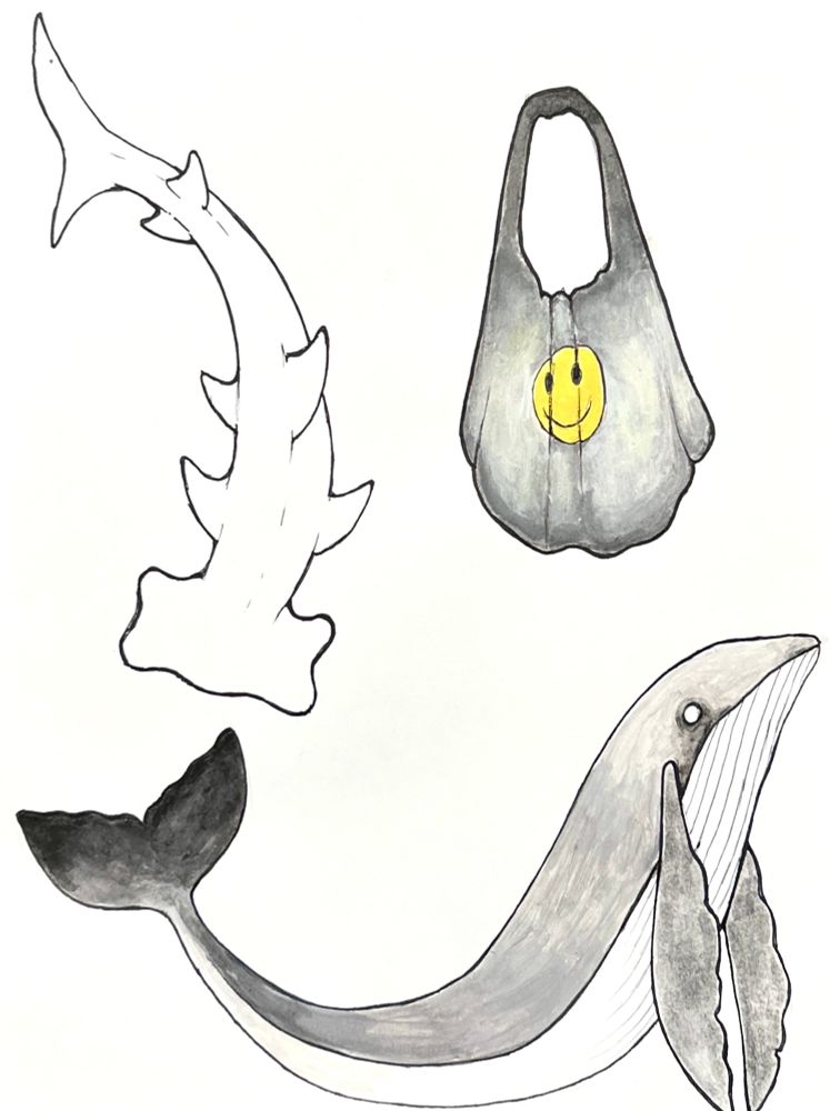 A flash sheet by rat king of a hammerhead shark a whale and a plastic bag 