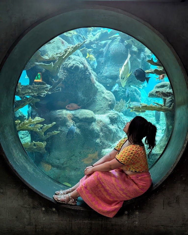 Picture of me at the Florida Aquarium, sitting in front of a circular window to one of the tanks. I'm wearing a crocheted sunflower top and a malong (traditional Filipino garment), looking up at the tank in wonder and awe.