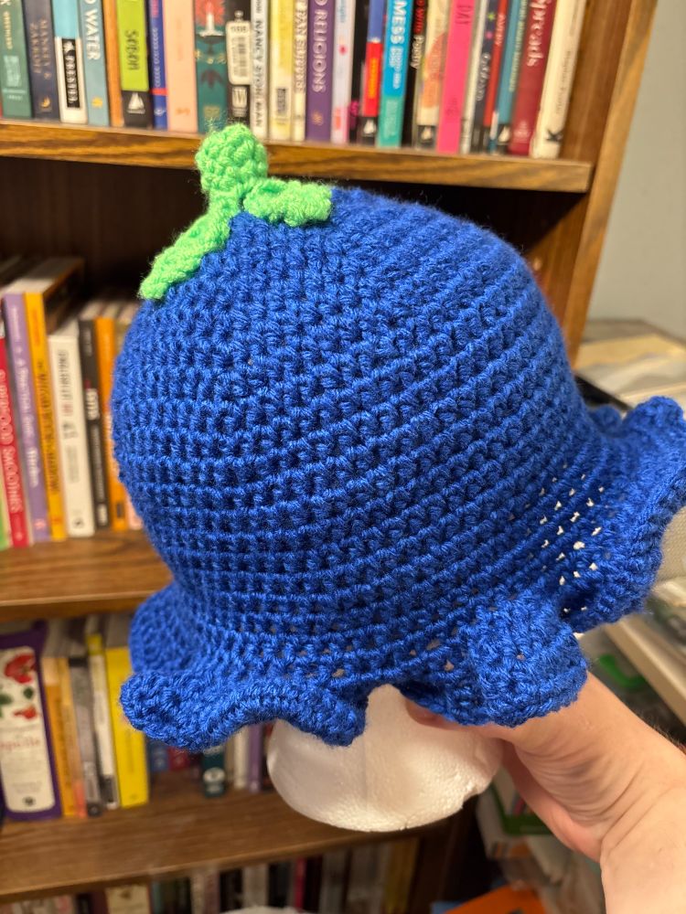 A person's hand is holding up a white mannequin head that has on it a royal blue beanie with a green stem on it. The mannequin is in front of a bookshelf.