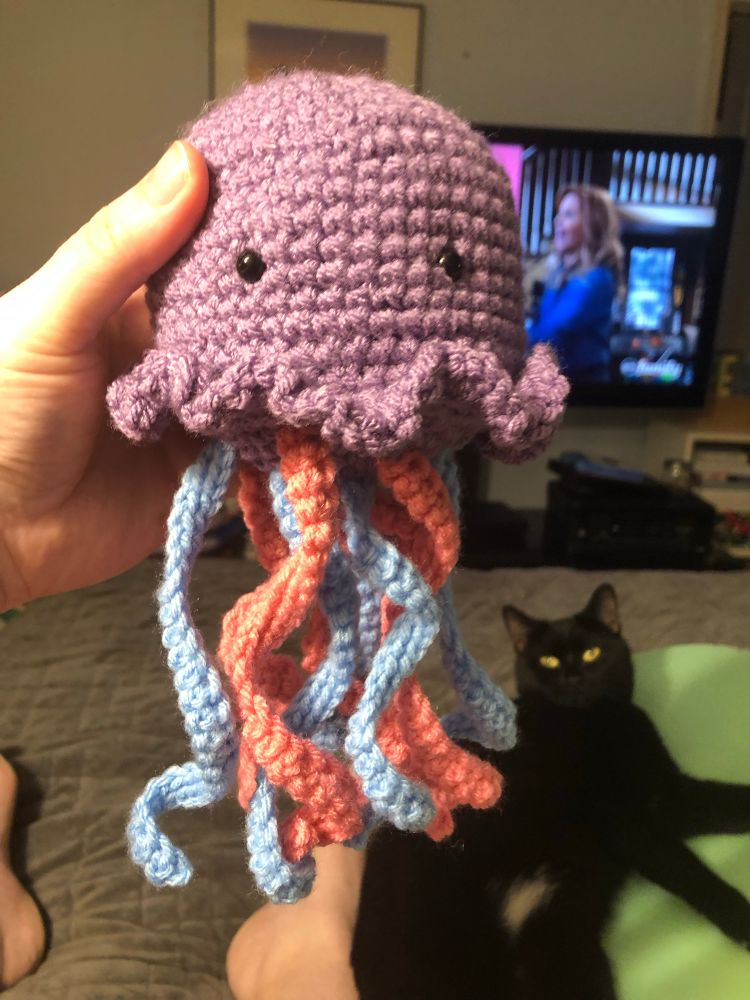 A person is holding a crocheted jellyfish stuffed toy. The jellyfish is purple, blue, and pink. 