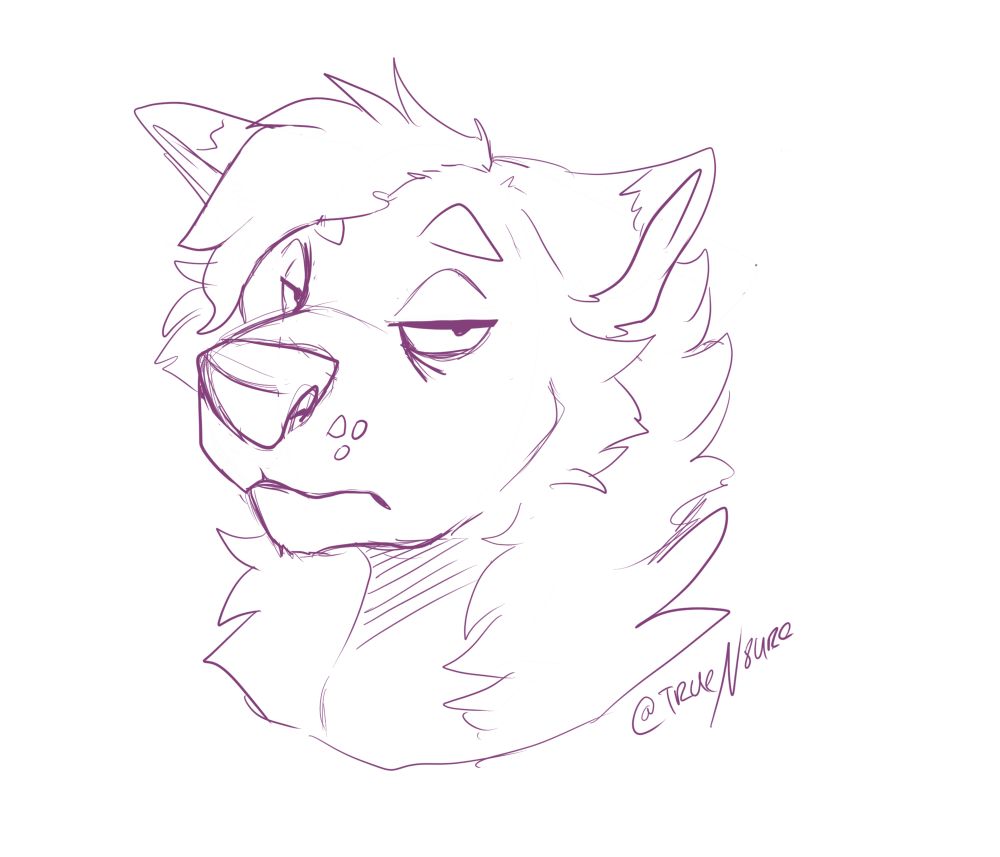 sketch of a very unamused wolf