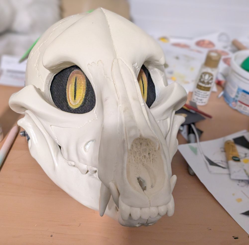 photo of a canine skull fursuit head being built. 