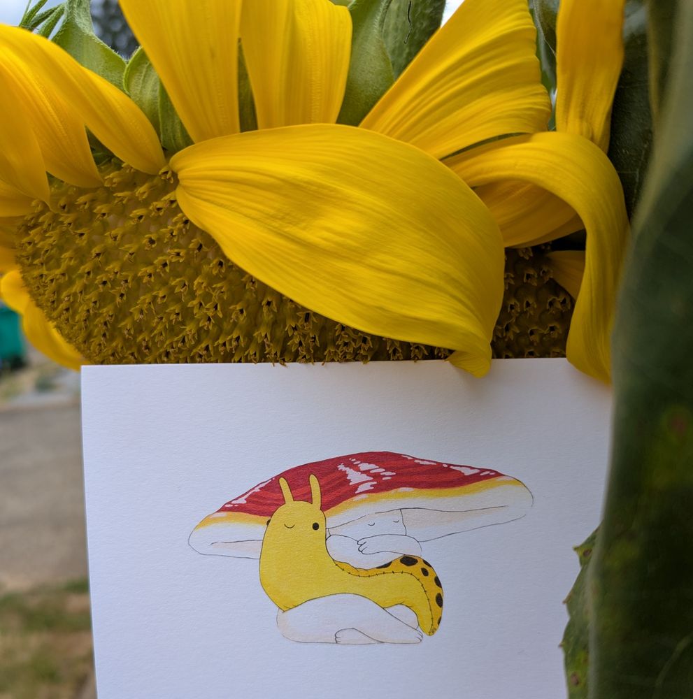 Umbo Cards PDX mushroom greeting card with sunflower.
