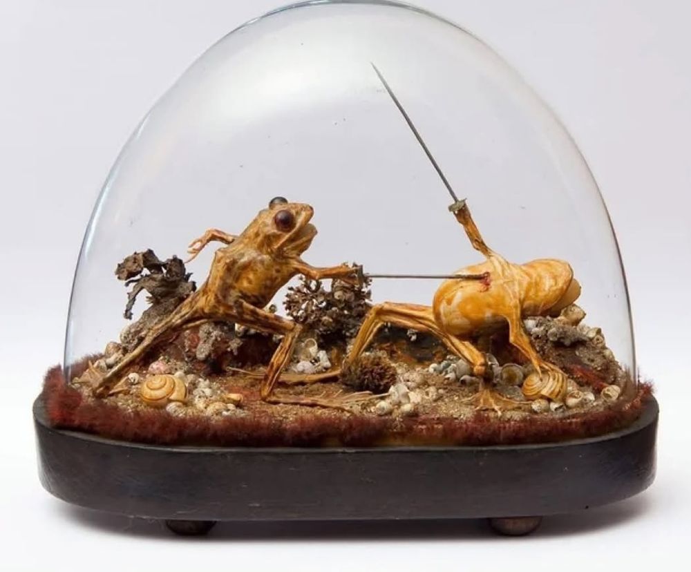 Une grenouille avec une épée frappe d'estoc et au coeur une autre grenouille qui meurt dans un geste dramatique, épée levée au ciel