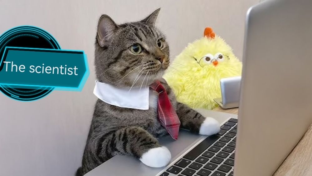 Un chat devant un ordinateur avec une cravate et un poussin qui regarde ce qu'il fait, avec un panneau "the scientisr", que j'ai ajouté pour être captain obvious 
