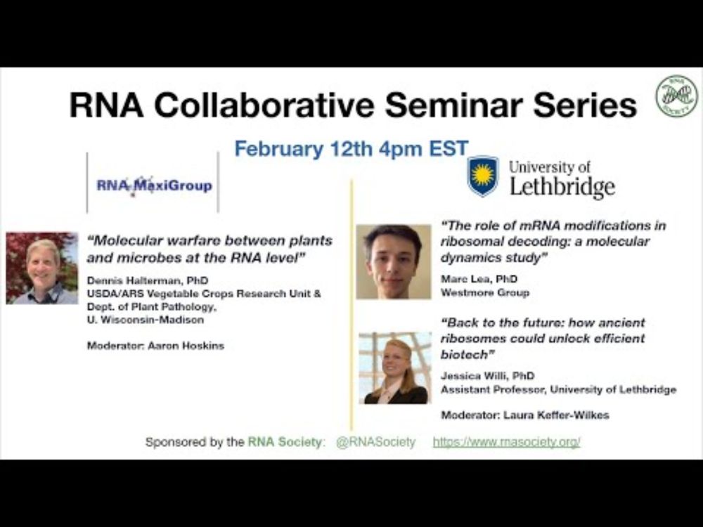 RNA Collaborative Seminar: RNA MaxiGroup and ARRTI, February 12th at 4 pm ET