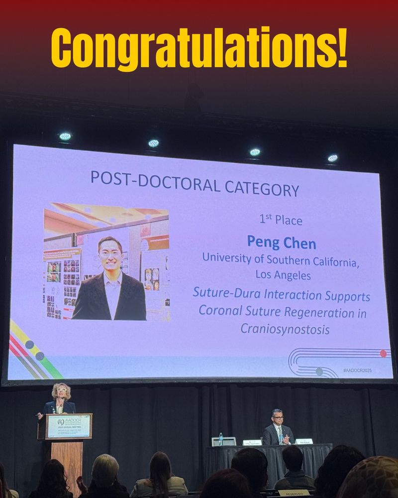 Picture of a screen showing Peng Chen as the winner in the post-doctoral category at AADOCR/CADR Annual Meeting for his presentation "Suture-Dura Interaction Supports Coronal Suture Regeneration in Craniosynostosis"