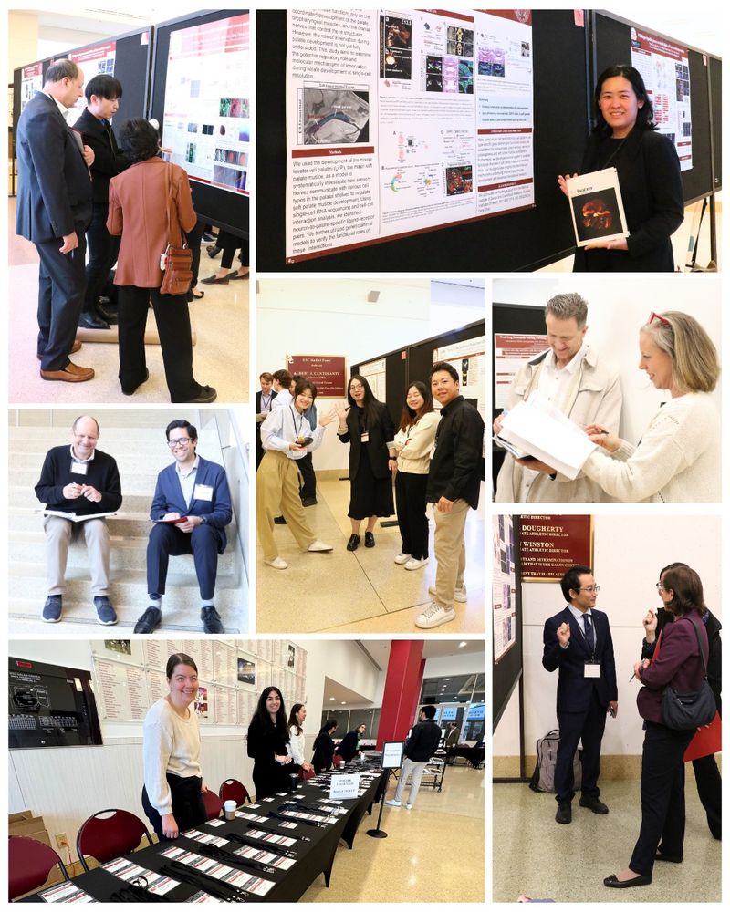 A collage of pictures from Ostrow Research Day 2025 with presentation winners, poster presentations, and groups of people at the academic research conference hosted by the Herman Ostrow School of Dentistry of USC