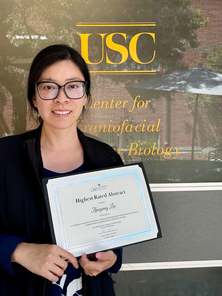 Dr. Zhaoyang Liu holding a certificate her high-rated abstract at the Word Congress on Osteoarthritis hosted by Osteoarthritis Research Society International (OARSI) for her abstract, "A cartilage-enriched G protein-coupled receptor maintains articular cartilage homeostasis via promoting Gs signaling in mice."