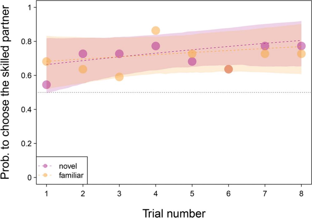 Domain-specific inferences about conspecifics’ skills by chimpanzees