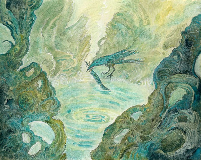 A teal raven with a feather in his beak, holding it over a quiet pond or puddle. There are green and blue roots and branches all around.