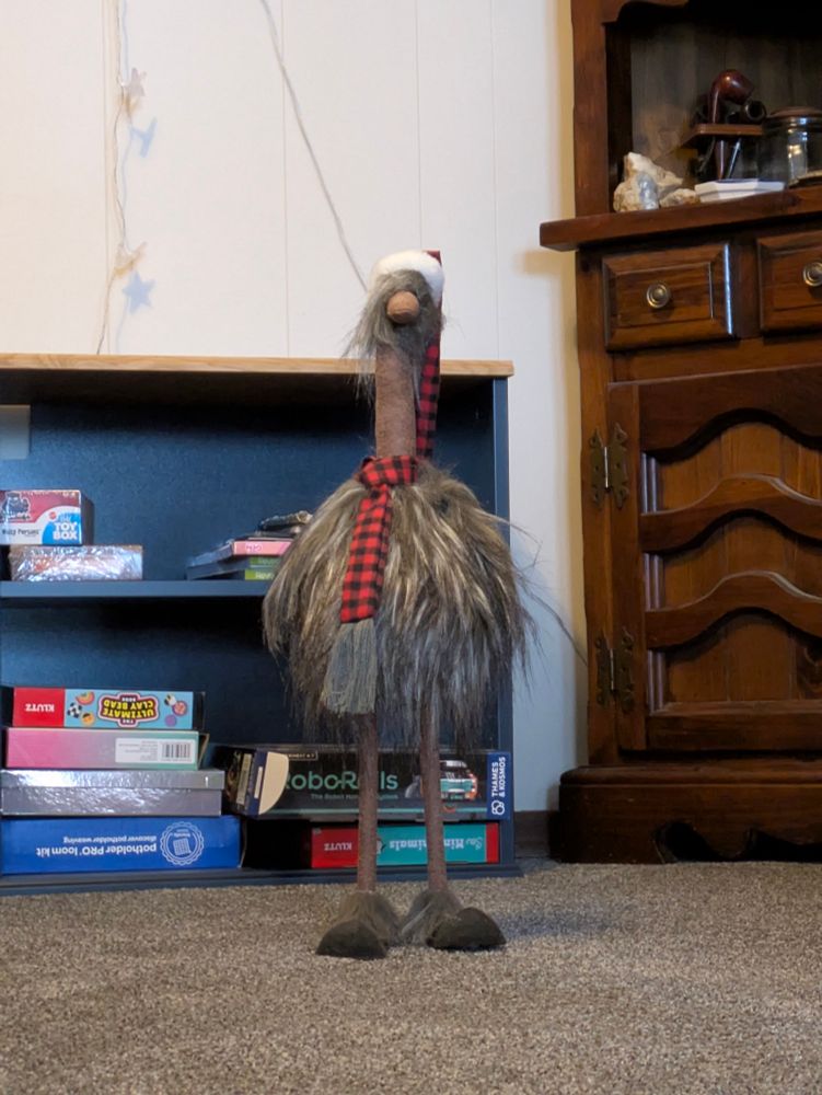 Close up the emu. Gray and brown body feathers, plaid scarf and long hat .

Still staring at you.