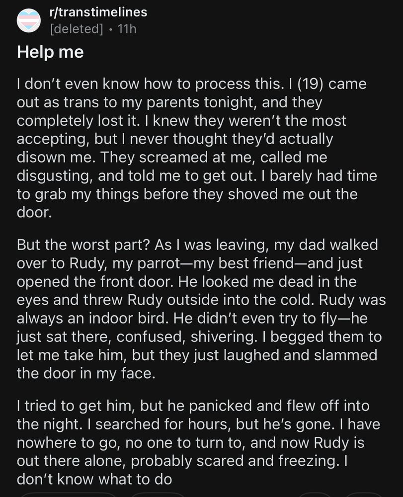 Text describes a young trans girl being kicked out of her home by her parents. She had a parrot named Rudy and her parents through her parrot out with her.