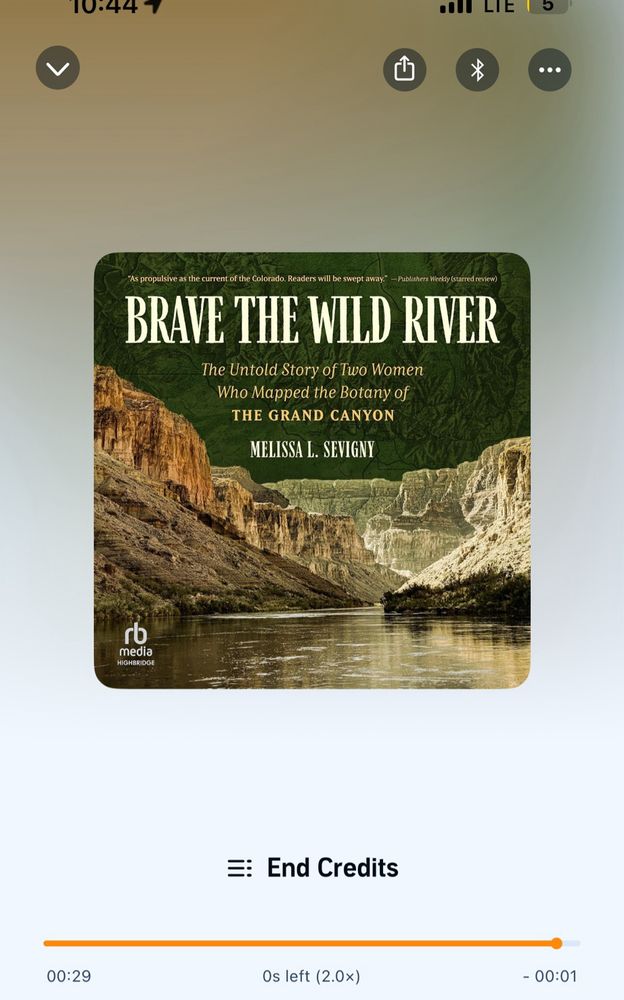 Audible playhead for Brave the Wild River