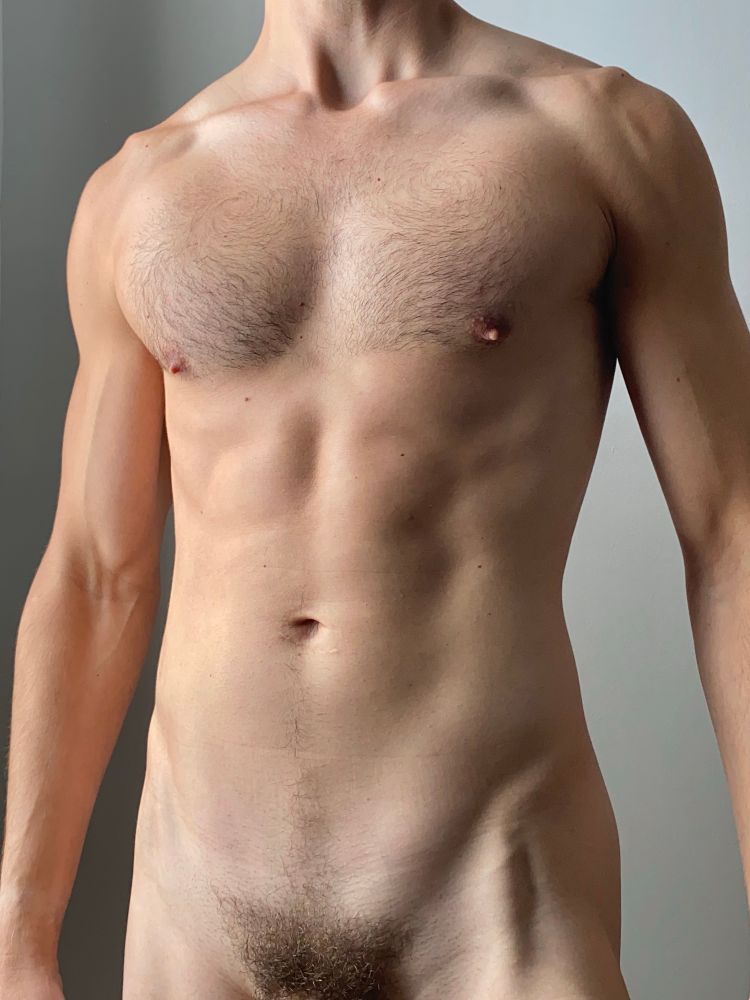 Torso of a nude man showing hairy chest, cropped from shoulders to bush. 