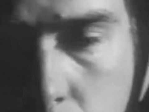 Peter gabriel The rhythm of the heat
