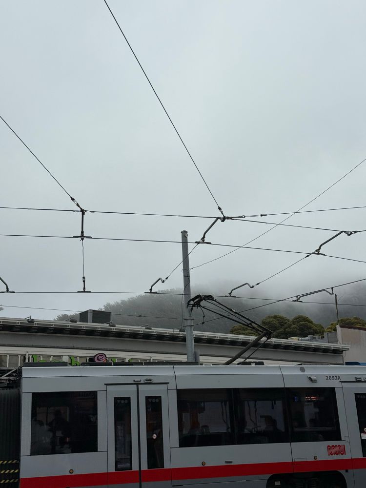 Muni train, overhead wires, and fog