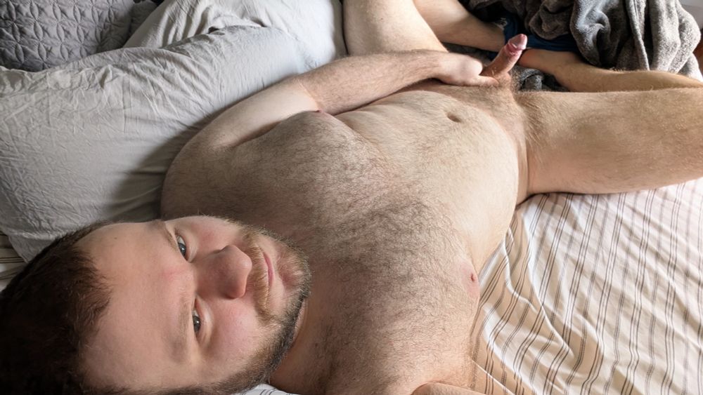 A cub in bed with an erection.