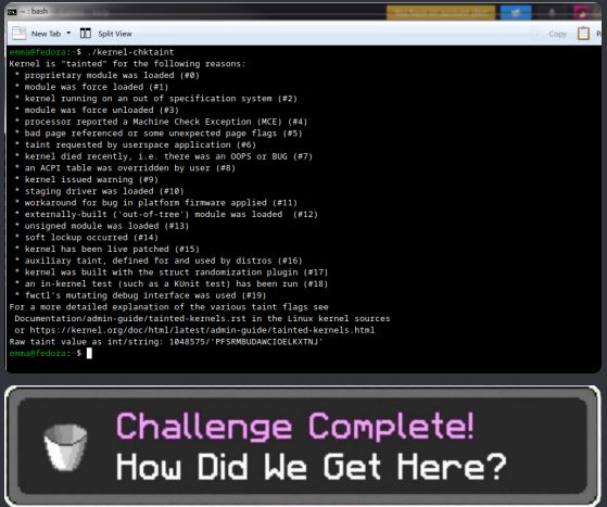 screenshot of a Linux terminal running the "kernel-chktaint" command, which returns "Kernel is "tainted" for the following reasons:
* proprietary module was loaded (#0)
* module was force loaded (#1)
* kernel running on an out of specification system (#2)
* module was force unloaded (#3)
* processor reported a Machine Check Exception (MCE) (#4)
* bad page referenced or some unexpected page flags (#5)
* taint requested by userspace application (#6)
* kernel died recently, i.e. there was an OOPS or BUG (#7)
* an ACPI table was overridden by user (#8)
* kernel issued warning (#9)
* staging driver was loaded (#10)
* workaround for bug in platform firmware applied (#11)
* externally-built ('out-of-tree') module was loaded (#12)
* unsigned module was loaded (#13)
* soft lockup occurred (#14)
* kernel has been live patched (#15)
* auxiliary taint, defined for and used by distros (#16)
* kernel was built with the struct randomization plugin (#17)
* an in-kernel test (such as a KUnit test) has been run (#18)
* fwctl's mutating debug interface was used (#19)"

below it is the Minecraft challenge unlocked for "How Did We Get Here?", which is a challenge for having all the status effects unlocked at once