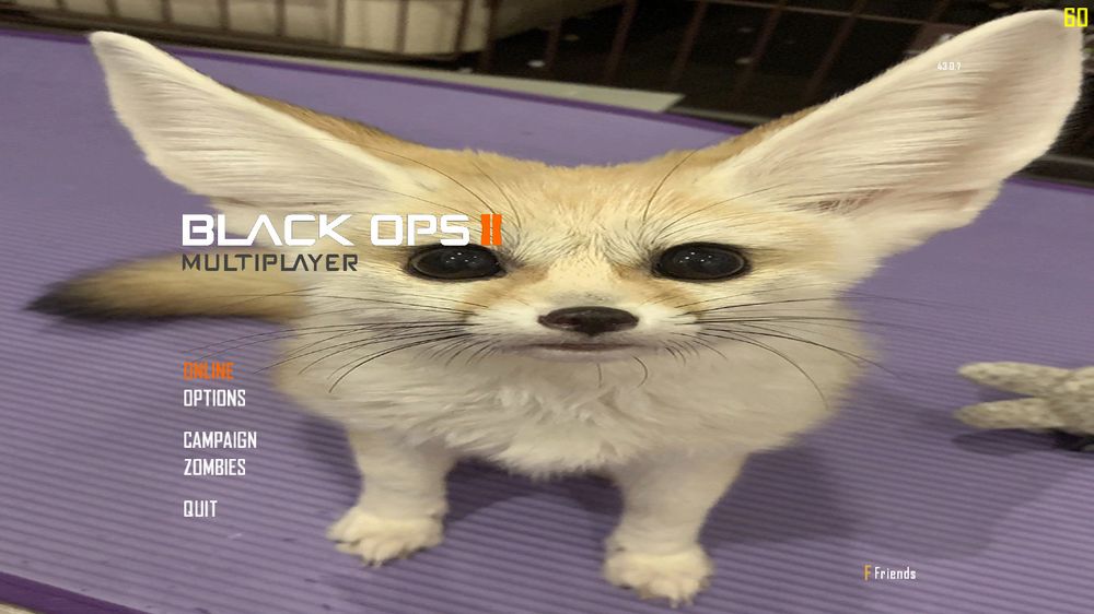 The Black Ops 2 Multiplayer main menu, with the background replaced with a picture of a cute fennec fox staraing at the camera. Stupid looking fox