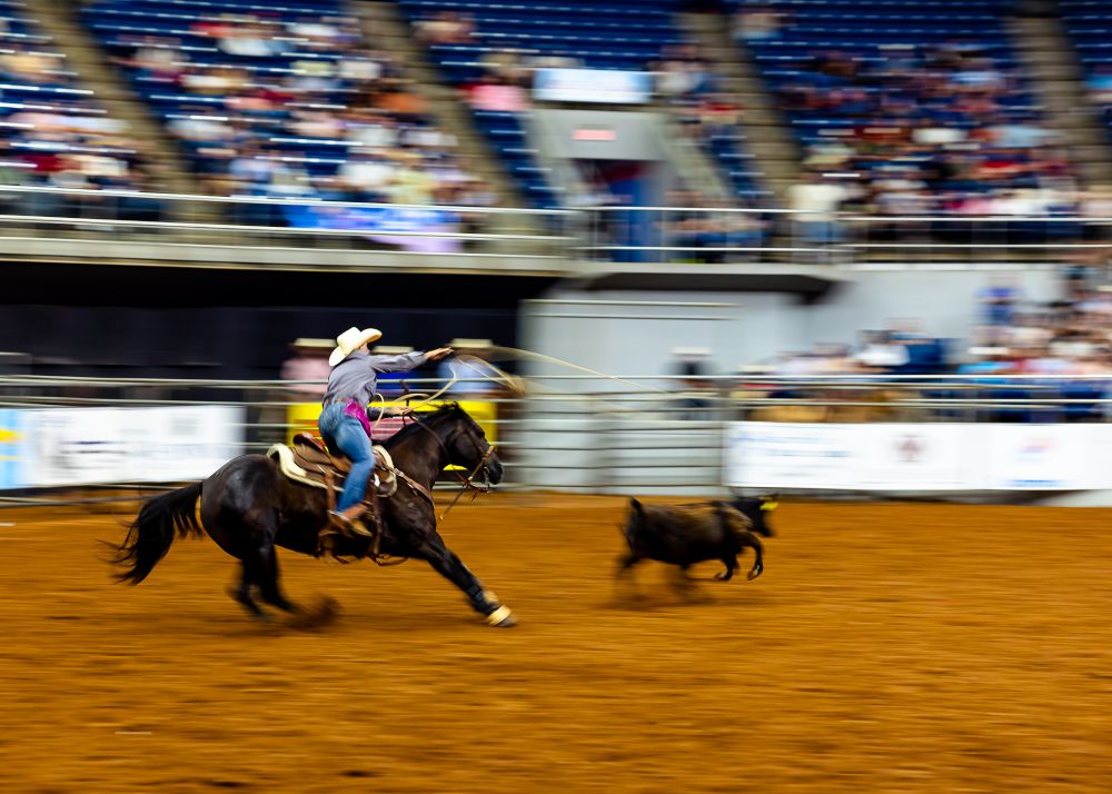 A cowgirl competing in the calf roping at the rodeo. A slightly slow shutter speed creates a blurred effect. 