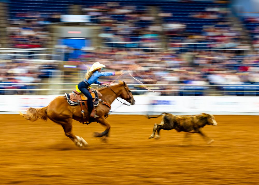 A cowgirl competing in the calf roping at the rodeo. A slightly slow shutter speed creates a blurred effect. 