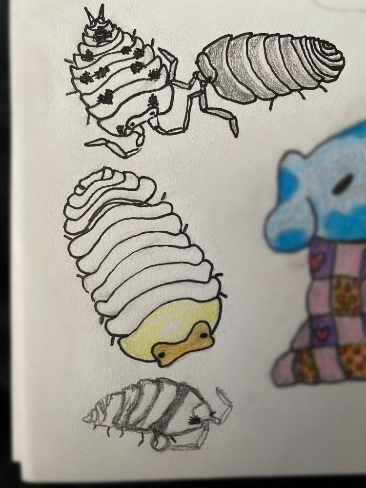 A dairy cow isopod, a skirted isopod, a rubber ducky isopod, and my friend Seraph as a dwarf isopod with an 'O' ring choker and long lashes.
They're all drawn using pencil and pen, with colored pencil for the rubber ducky isopod's distinct yellow head.