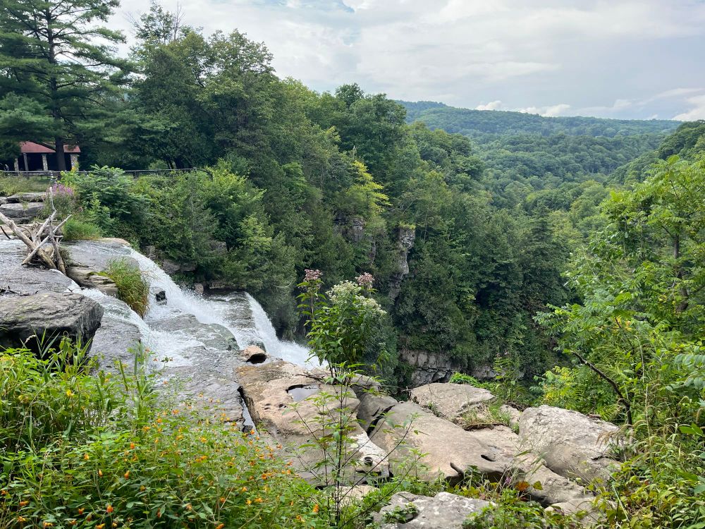 The top of a waterfall and a vast, dense green forest.