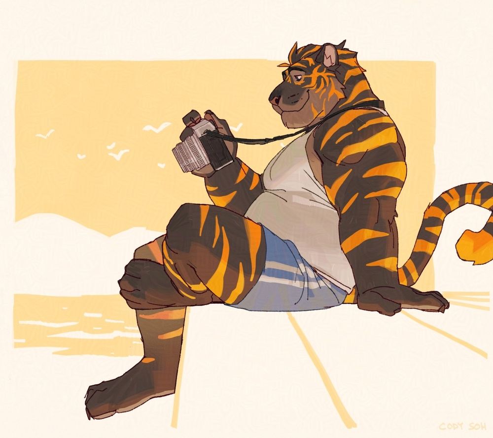 tiger sitting down, looking at his camera