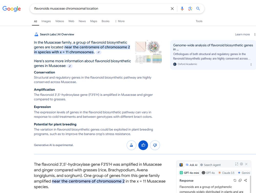Google search with AI generated summary as an answer to my query