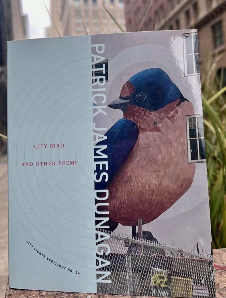 A newly-published copy of CITY BIRD AND OTHER POEMS by Patrick James Dunagan
