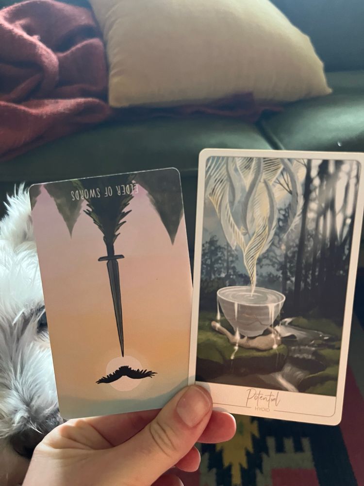 A white hand, illuminated by candle in the early morning light, holding two cards. The one on the left the Tarot card King of Swords reversed, the one on the right an oracle card: Potential (Hyoid Bone).

Guest appearance by my white mini schnauzer, Bernie.