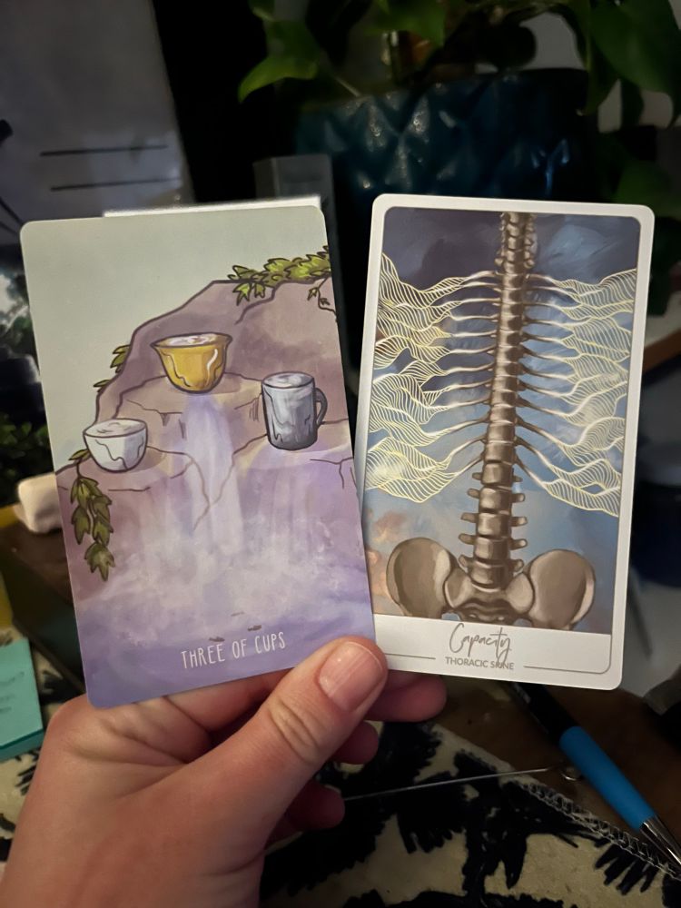 A white hand, illuminated by candle in the early morning light, holding two cards. The one on the left the Tarot card 3 of Cups, the one on the right an oracle card: Capacity (thoracic spine).