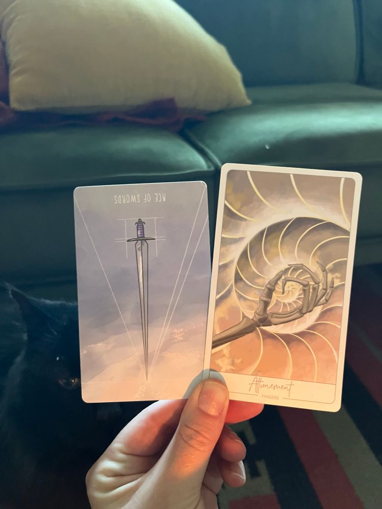 A white hand, illuminated by candle in the early morning light, holding two cards. The one on the left the Tarot card Ace of Swords reversed, the one on the right an oracle card: Attunement (fingers).

Special appearance from my black cat, Bella.