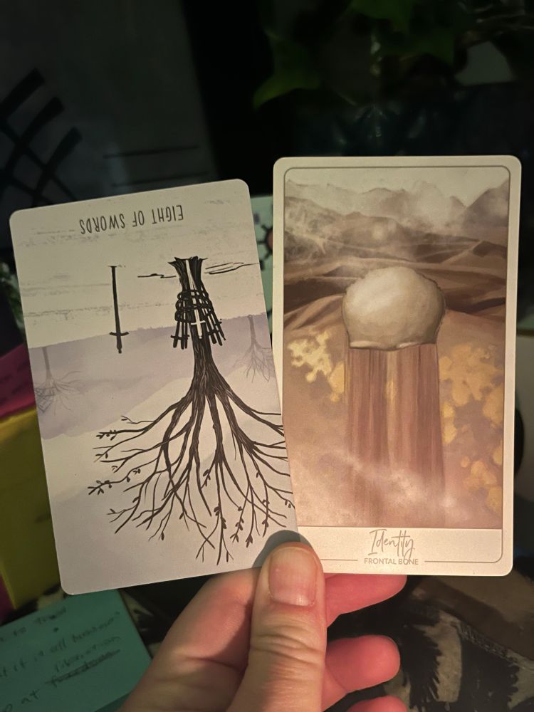 A white hand, illuminated by candle in the early morning light, holding two cards. The one on the left the Tarot card 8 of Swords reversed, the one on the right an oracle card: Identity (frontal bone).