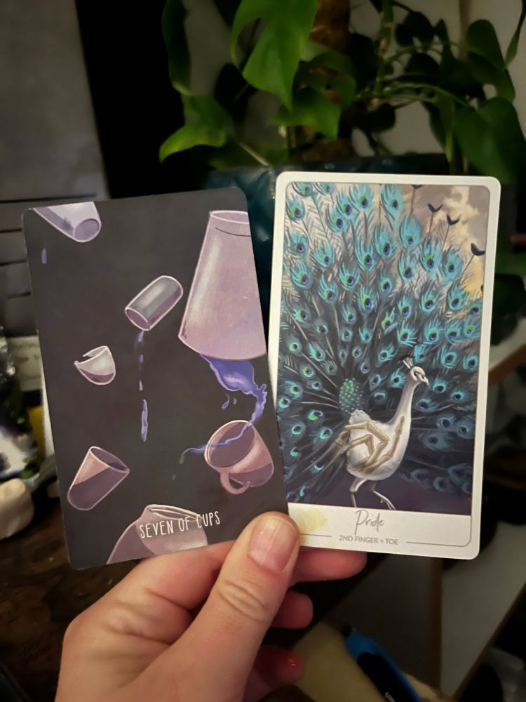 A white hand, illuminated by candle in the early morning light, holding two cards. The one on the left the Tarot card 7 of Cups, the one on the right an oracle card: Pride (first finger and toe).