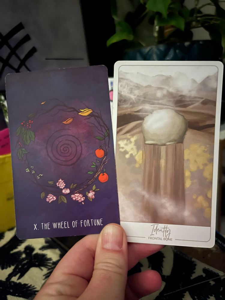 A white hand, illuminated by candle in the early morning light, holding two cards. The one on the left the Tarot card Wheel of Fortune the one on the right an oracle card: Identity (frontal bone).