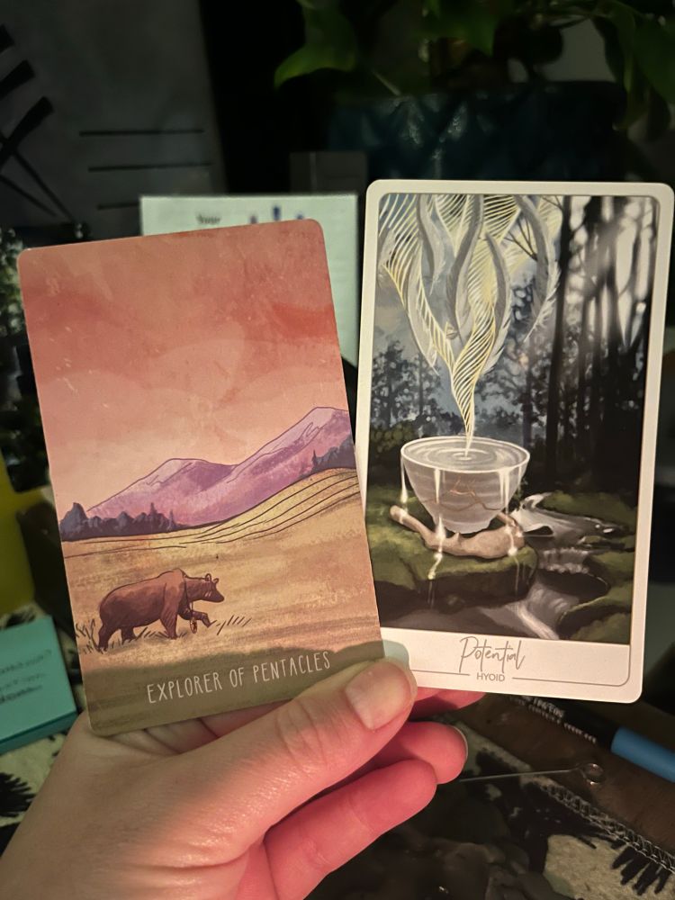 A white hand, illuminated by candle in the early morning light, holding two cards. The one on the left the Tarot card Knight of Pentacles, the one on the right an oracle card: Potential (hyoid).