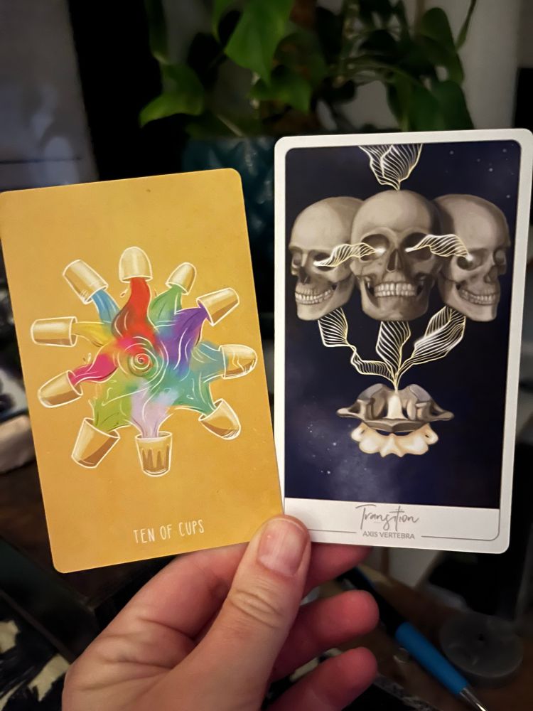 A white hand, illuminated by candle in the early morning light, holding two cards. The one on the left the Tarot card 10 of Cups the one on the right an oracle card: Transition (axis vertebrae).