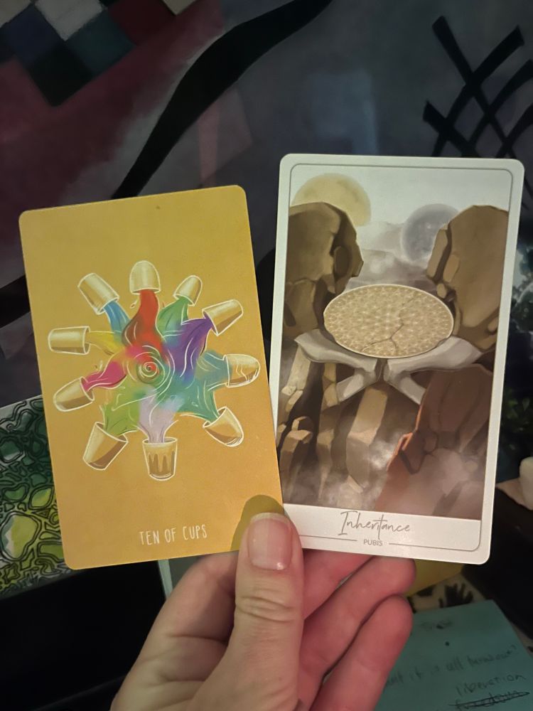 A white hand, illuminated by candle in the early morning light, holding two cards. The one on the left the Tarot card 10 of Cups, the one on the right an oracle card: Inheritance (pubis).