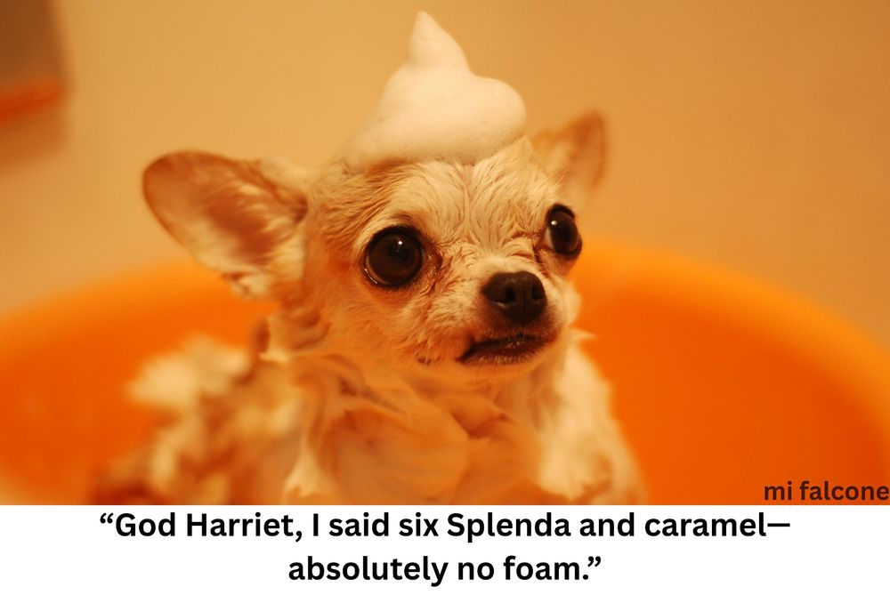 Wet Chihuahua in an orange basin with a mound of soap foam on its head, staring intently toward the camera. Warm, softly lit background.