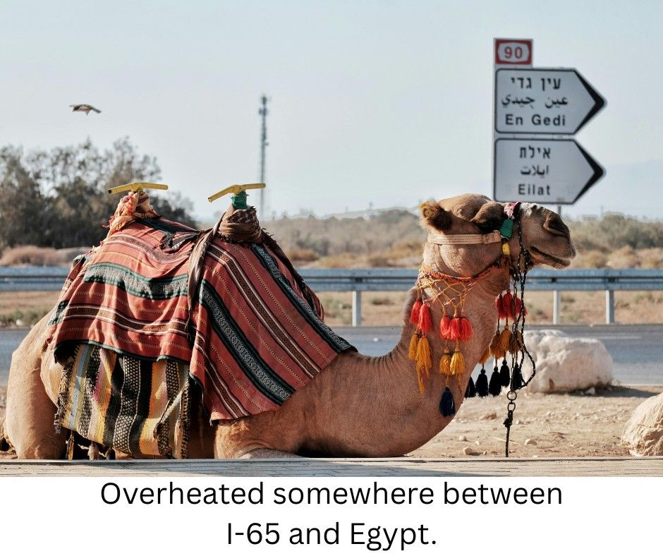 A camel draped in striped blankets sits beside a desert road under a highway sign with Middle-Eastern lettering. The scene looks dry, quiet, and faintly absurd, as if the camel has broken down.