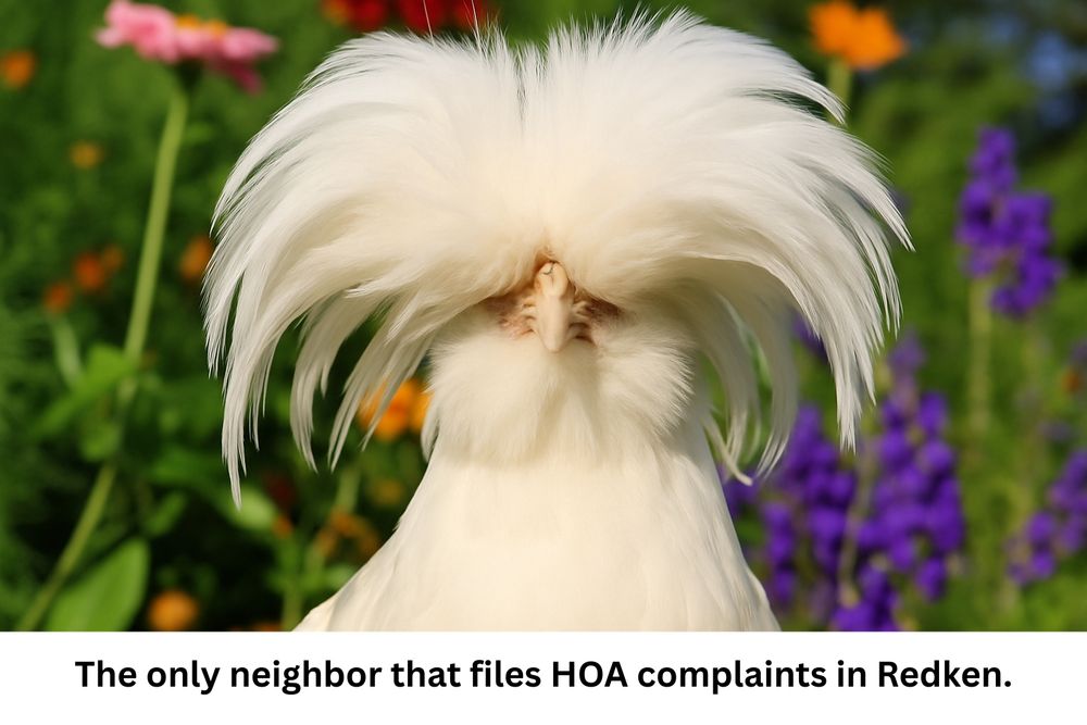 A fluffy white crested chicken stands in a garden setting; its long feathery plumage covers most of its face. Bright flowers in pink, orange, and purple blur softly in the background.