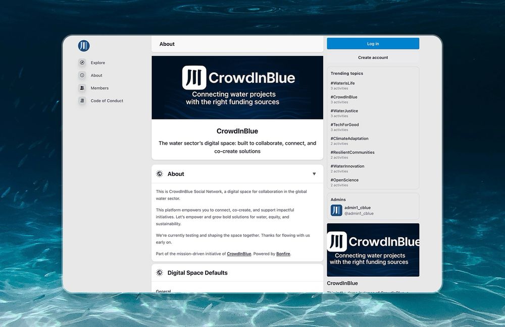 The crowdinblue bonfire instance