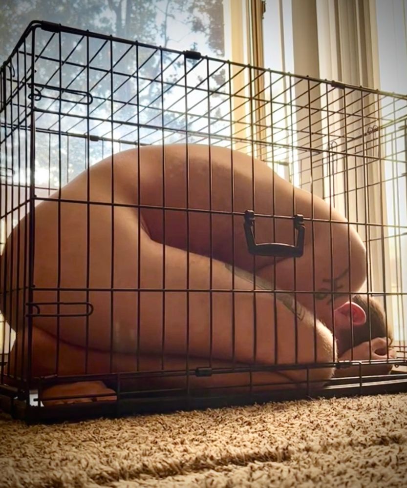 Naked white male crouching and holding head obeying its sir and confining himself in small pet crate infront of open sidling glass window 