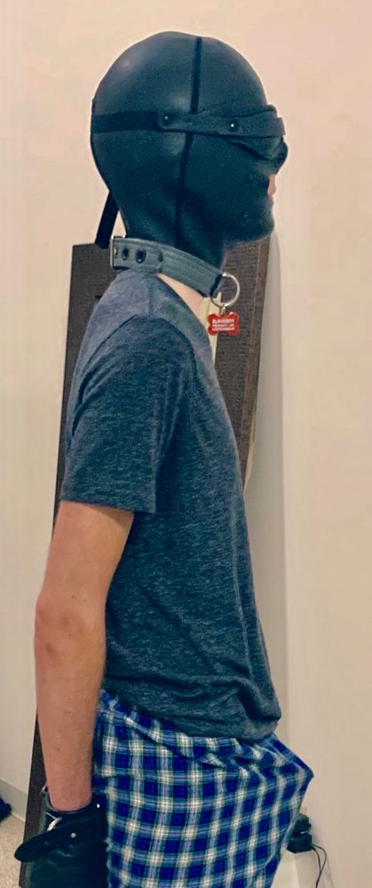 Collared and restrained twink erect from trying on leather hood and restraints